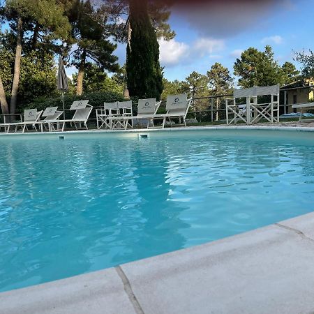 Tuscany Relax H&H - Helly House Apartment San Vivaldo Bagian luar foto