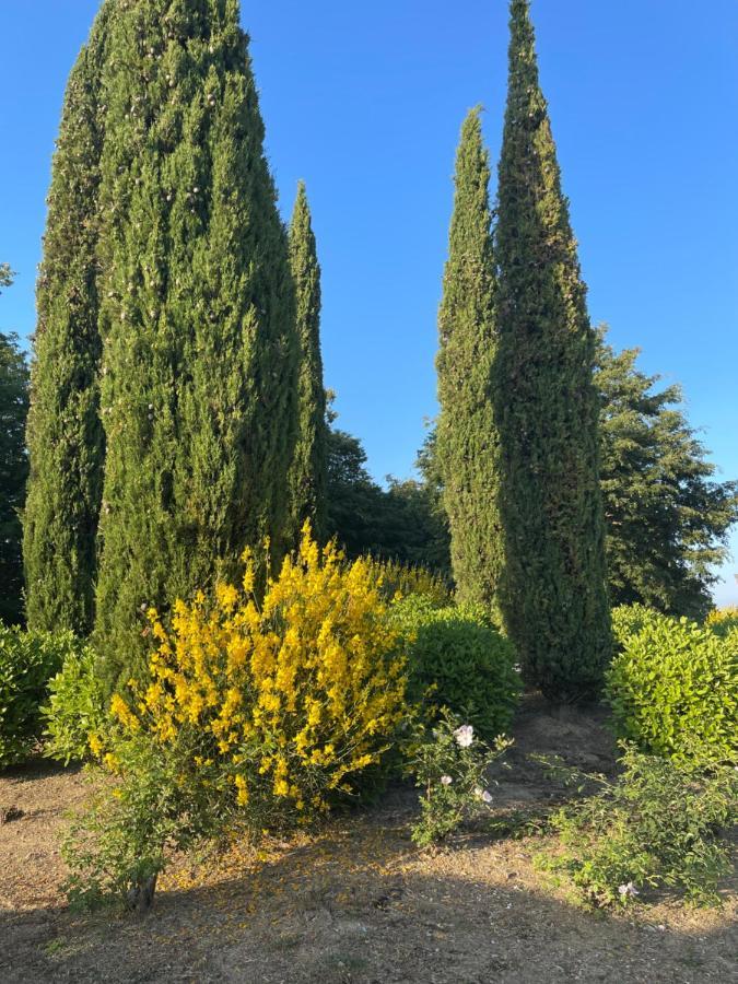 Tuscany Relax H&H - Helly House Apartment San Vivaldo Bagian luar foto